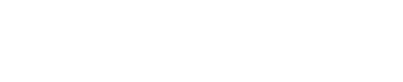 IT Vision logo white